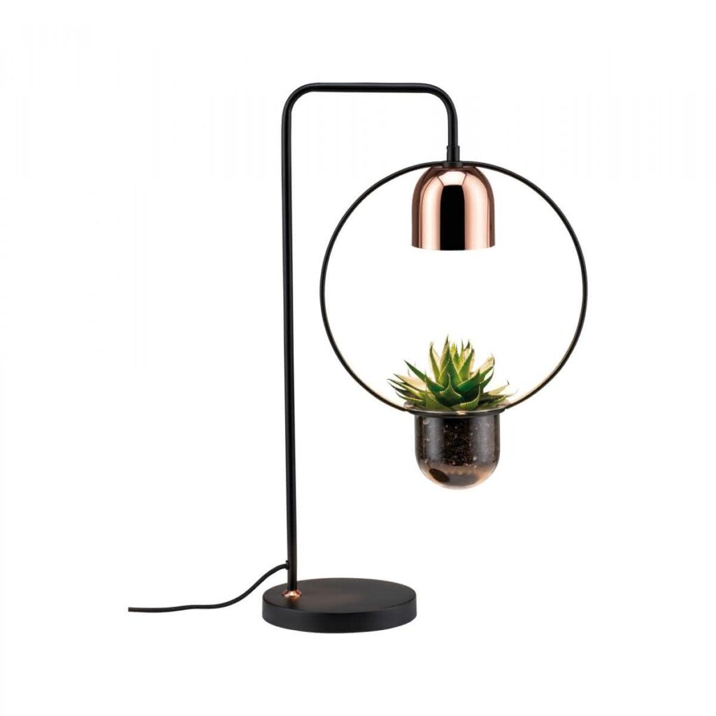 Lampa z rośliną